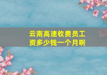 云南高速收费员工资多少钱一个月啊