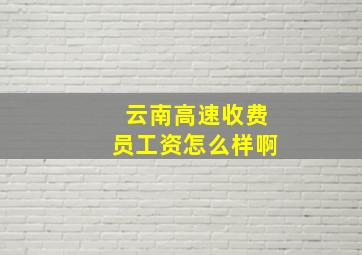 云南高速收费员工资怎么样啊