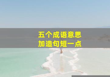 五个成语意思加造句短一点