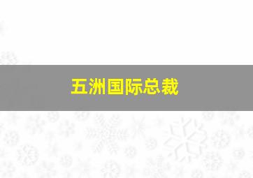 五洲国际总裁