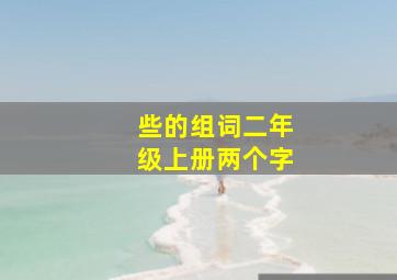 些的组词二年级上册两个字