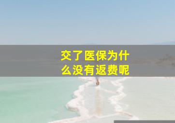 交了医保为什么没有返费呢