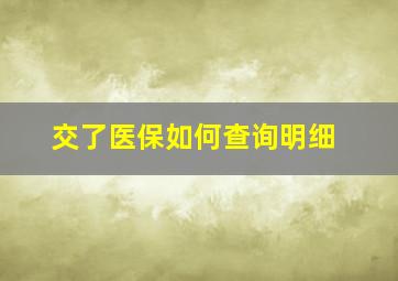 交了医保如何查询明细