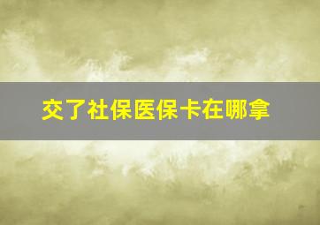 交了社保医保卡在哪拿