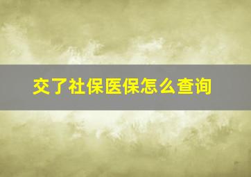 交了社保医保怎么查询