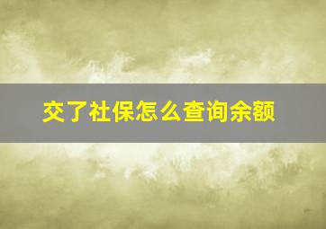 交了社保怎么查询余额