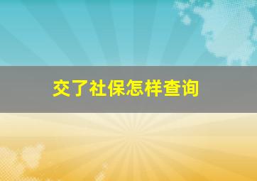 交了社保怎样查询