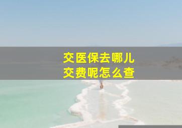 交医保去哪儿交费呢怎么查