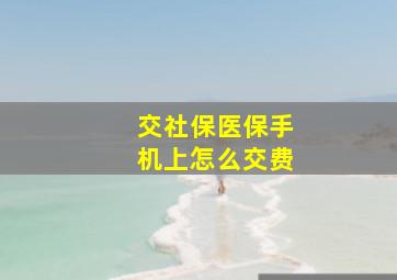 交社保医保手机上怎么交费