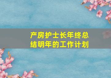 产房护士长年终总结明年的工作计划