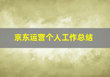 京东运营个人工作总结