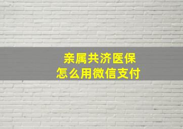 亲属共济医保怎么用微信支付