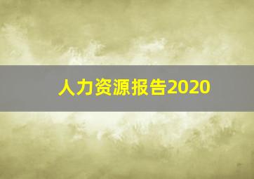 人力资源报告2020