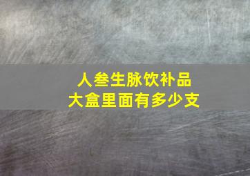 人叁生脉饮补品大盒里面有多少支