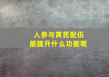 人参与黄芪配伍能提升什么功能呢