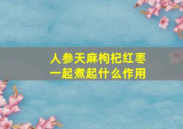 人参天麻枸杞红枣一起煮起什么作用