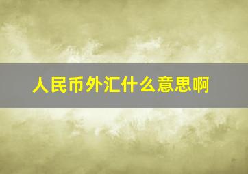 人民币外汇什么意思啊