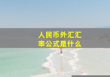 人民币外汇汇率公式是什么