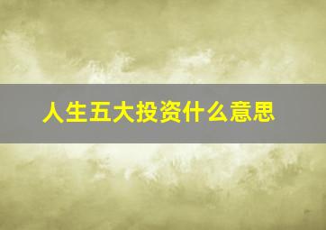 人生五大投资什么意思