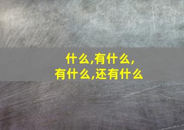 什么,有什么,有什么,还有什么