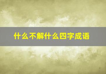 什么不解什么四字成语