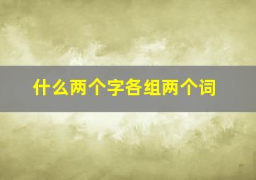 什么两个字各组两个词