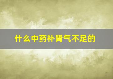 什么中药补肾气不足的