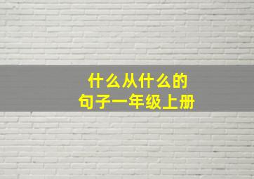 什么从什么的句子一年级上册