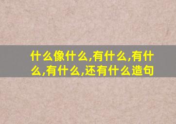 什么像什么,有什么,有什么,有什么,还有什么造句