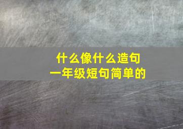 什么像什么造句一年级短句简单的