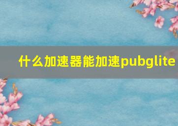 什么加速器能加速pubglite