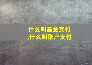 什么叫基金支付,什么叫账户支付