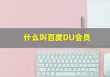 什么叫百度DU会员