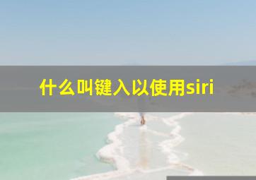 什么叫键入以使用siri