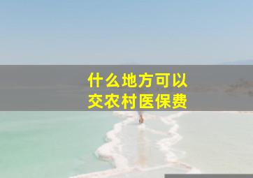 什么地方可以交农村医保费