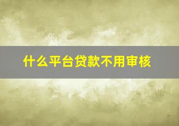 什么平台贷款不用审核