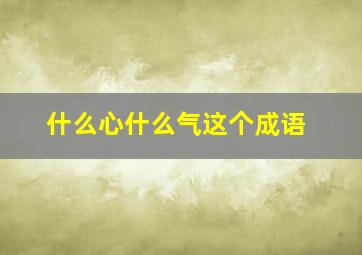 什么心什么气这个成语