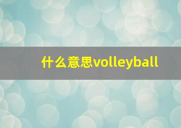 什么意思volleyball