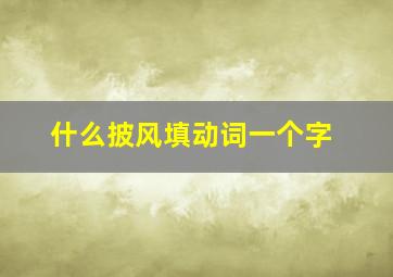 什么披风填动词一个字