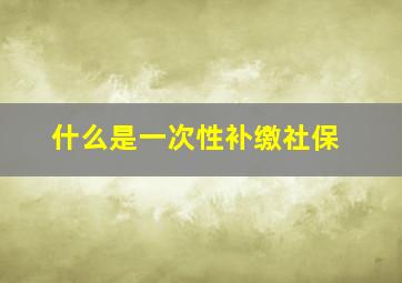 什么是一次性补缴社保