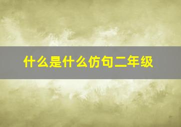 什么是什么仿句二年级