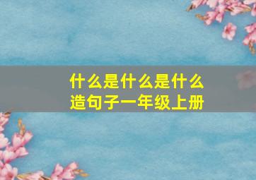 什么是什么是什么造句子一年级上册