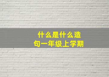 什么是什么造句一年级上学期