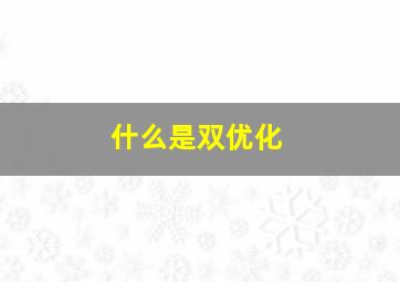 什么是双优化