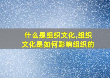 什么是组织文化,组织文化是如何影响组织的