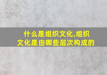 什么是组织文化,组织文化是由哪些层次构成的