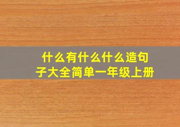 什么有什么什么造句子大全简单一年级上册