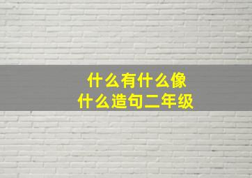 什么有什么像什么造句二年级