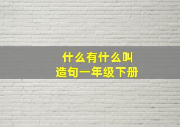 什么有什么叫造句一年级下册