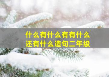 什么有什么有有什么还有什么造句二年级